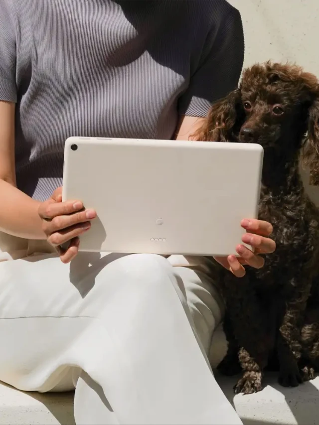 根據最近的洩露，Google Pixel 平板電腦完全是“Pro”