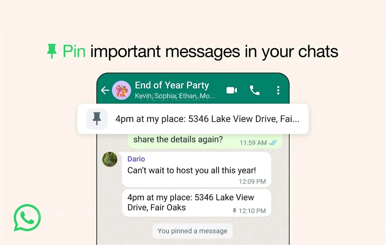 如何在 WhatsApp 上的任何聊天中固定消息