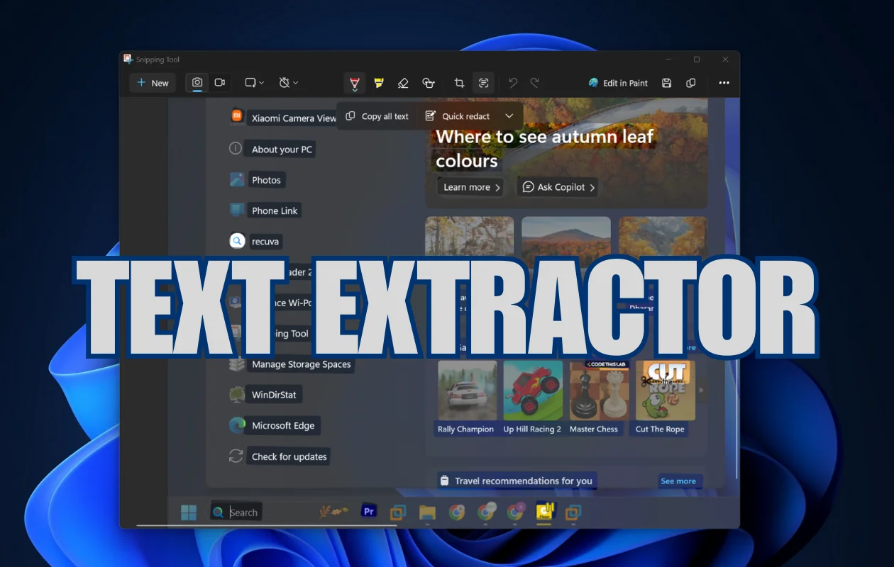如何在 Windows 11 上从图像中提取文本
