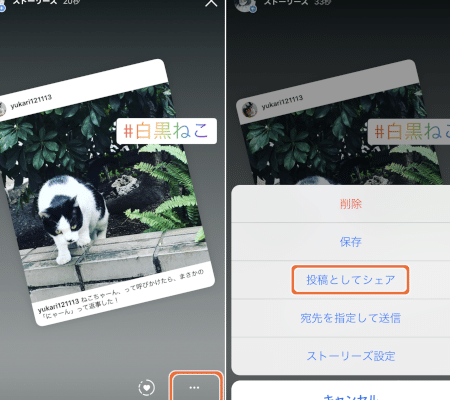 介绍如何在 Instagram 上转发故事！