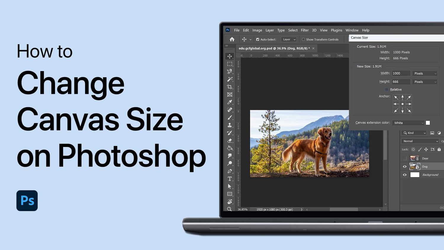 如何更改Photoshop中的帆布尺寸