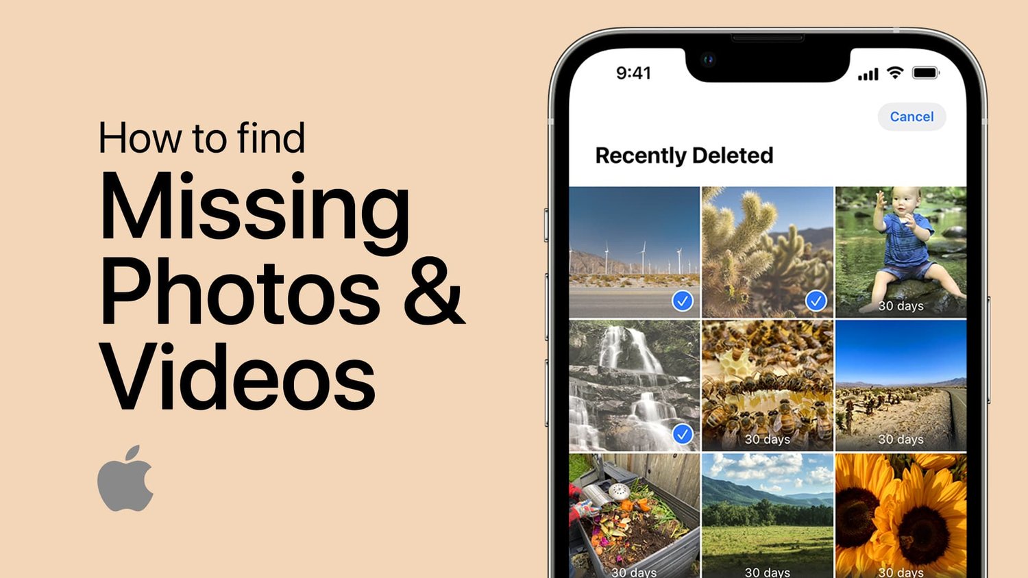 如何修复iPhone上缺少的照片或视频
