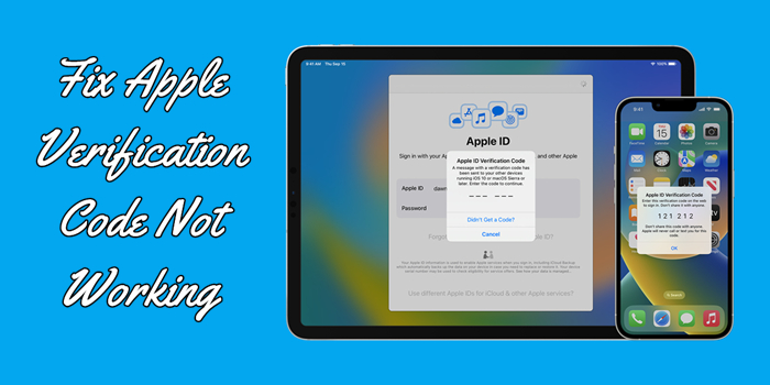 如何修复Apple ID验证代码不工作/发送/显示