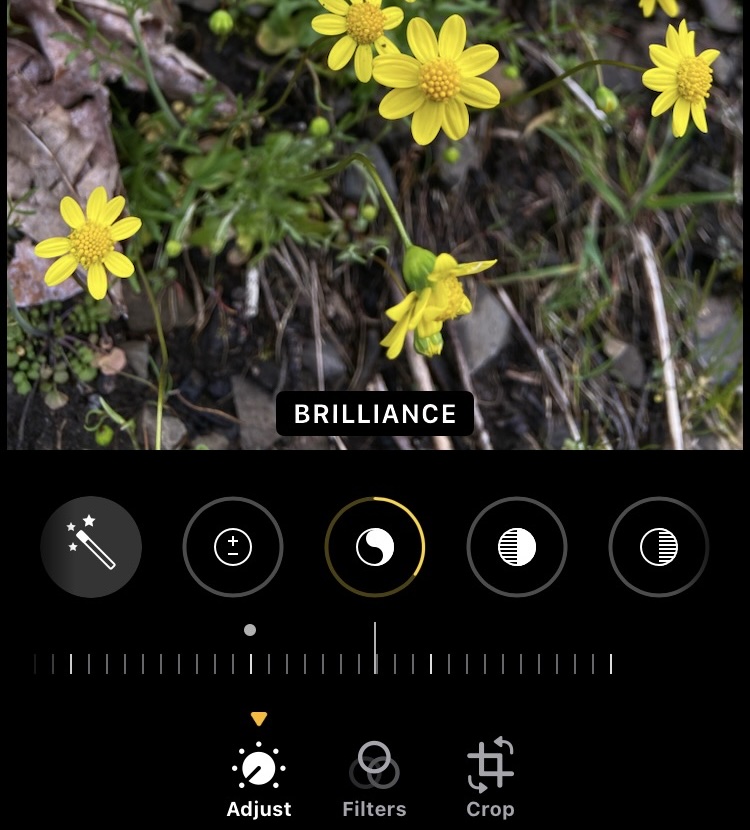 如何在iPhone和iPad wth wth複製和粘貼編輯到照片上進行批量編輯