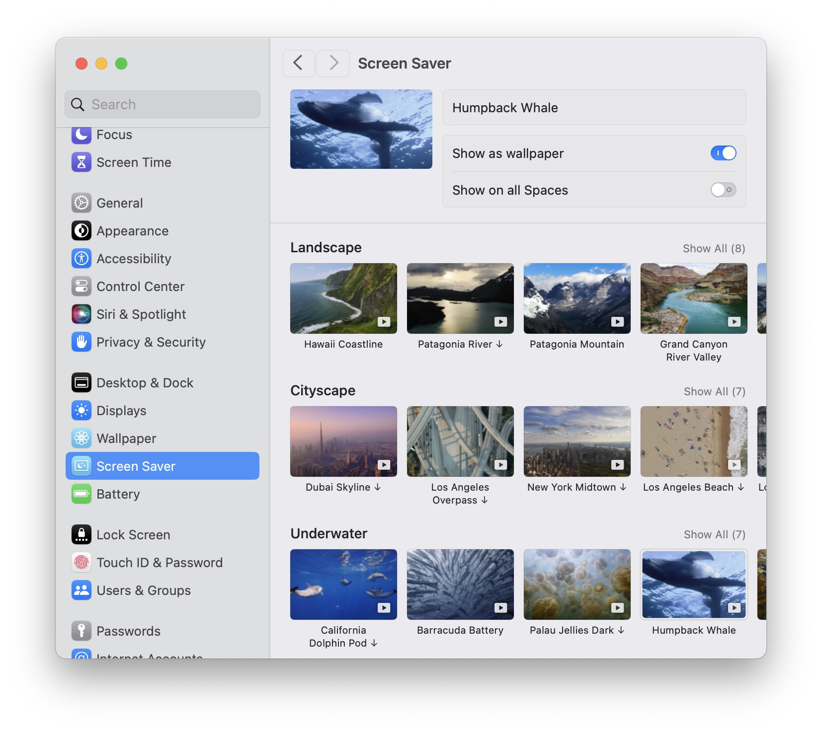 Macos Sonoma移动壁纸和空中屏幕保护者的位置