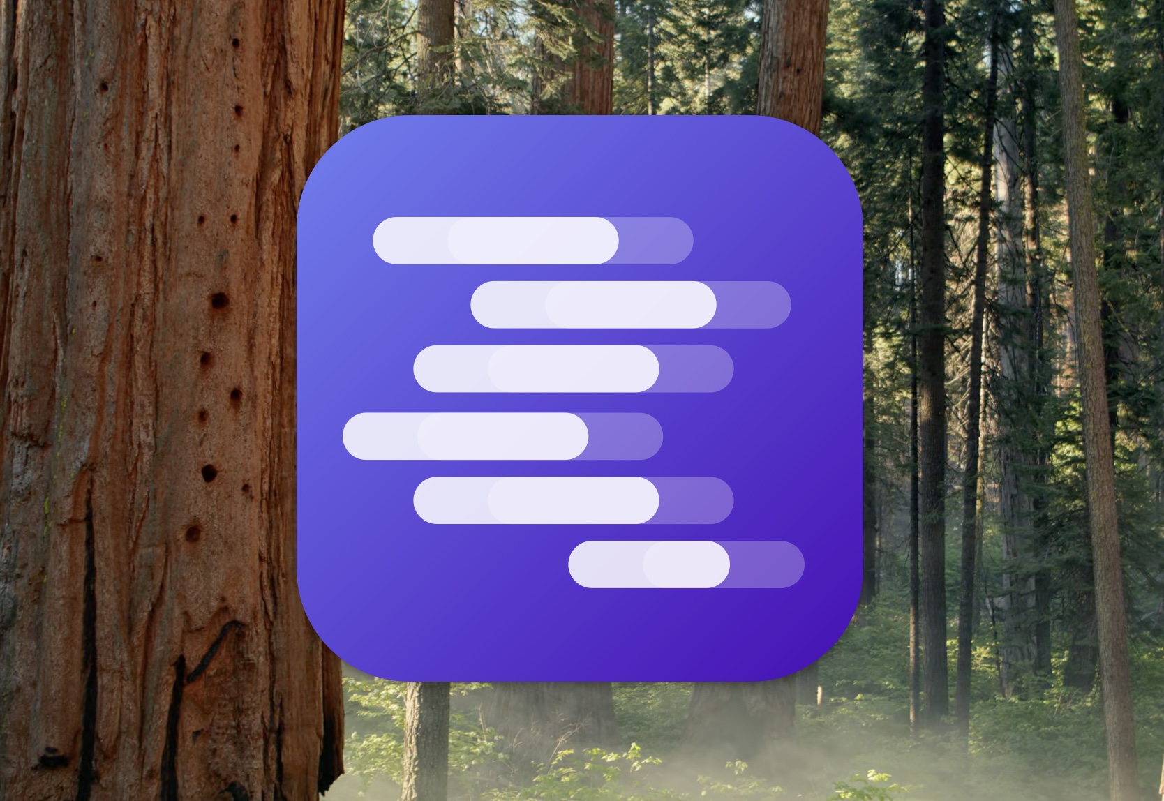 如何在Mac上本地運行DeepSeek LLM