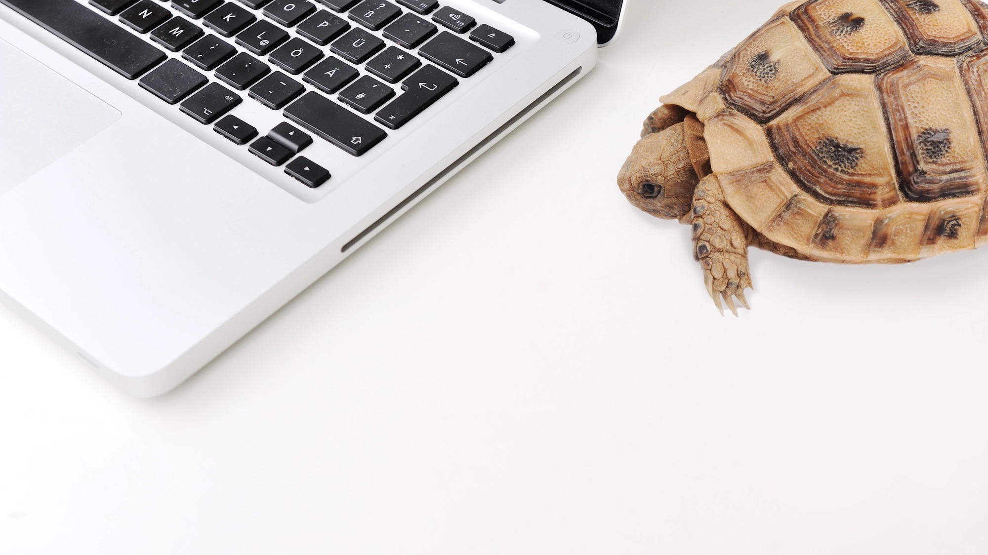 如何检查计算机是否随着时间的推移放慢速度