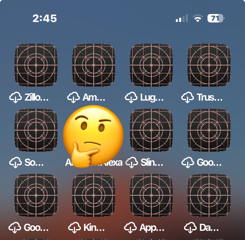 如何用十字和圆圈修复iPhone空白的白色/灰色图标