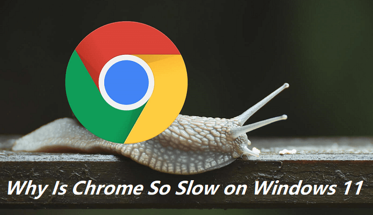 Chrome在Windows 11中跑步慢？尝试这些免费方法立即修复