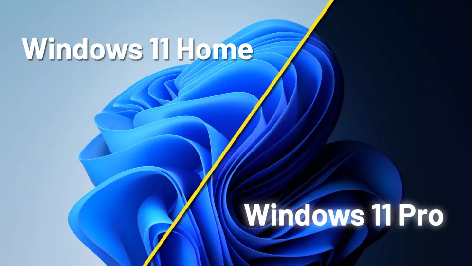 Windows 11 Home和Pro之间的区别：我应该选择哪一个？