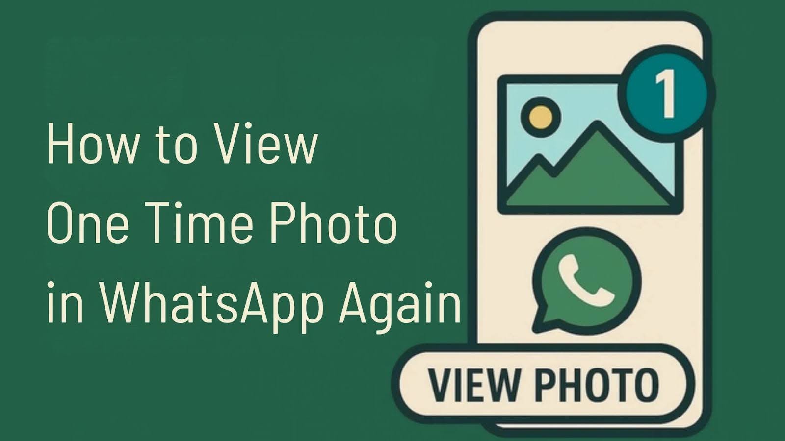 如何再次在WhatsApp中查看一次性照片？