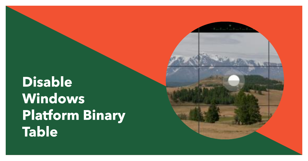 如何禁用Windows平台二进制表（WPBT）？