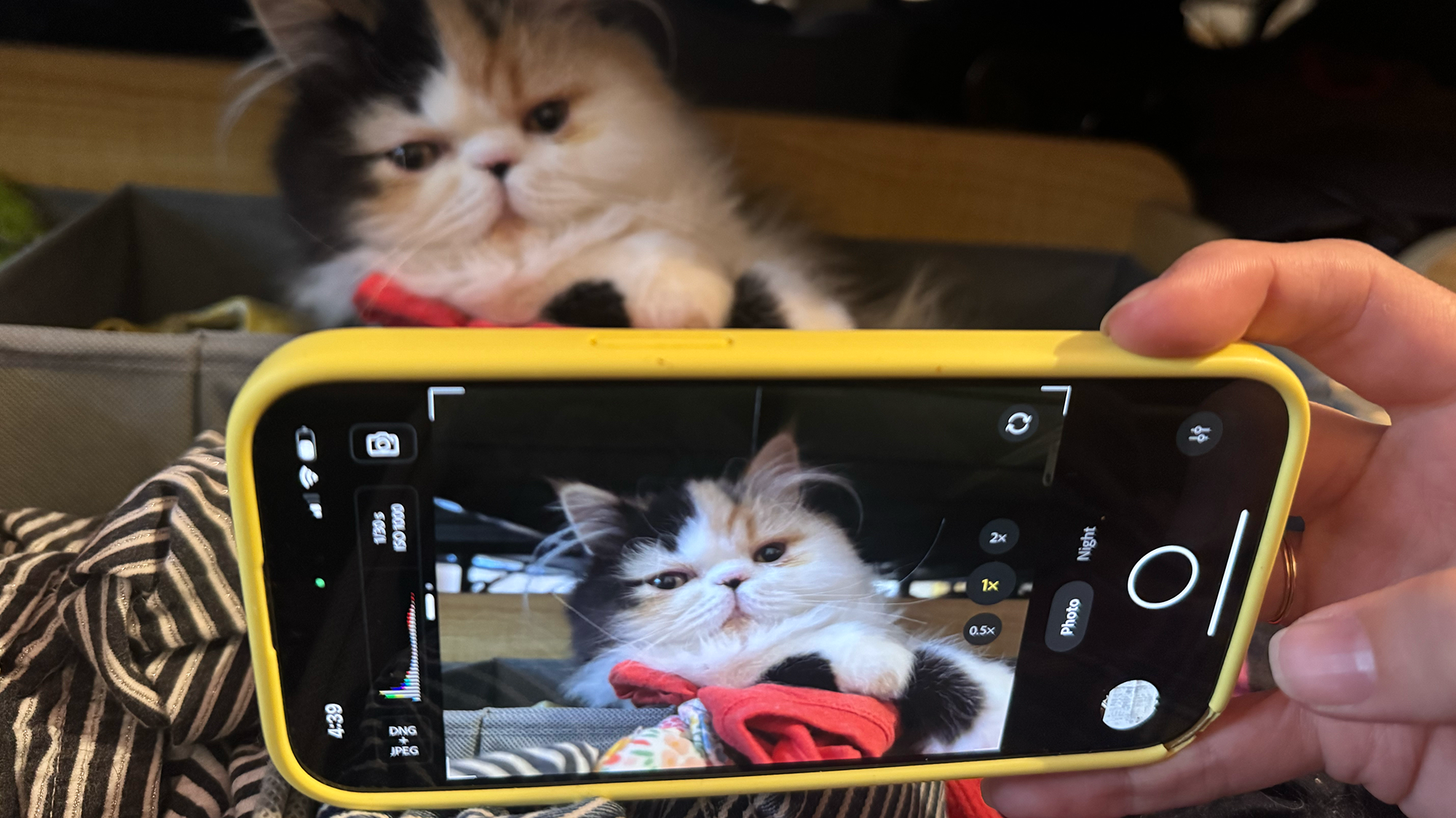 Adobe为您的iPhone启动了专业级相机应用