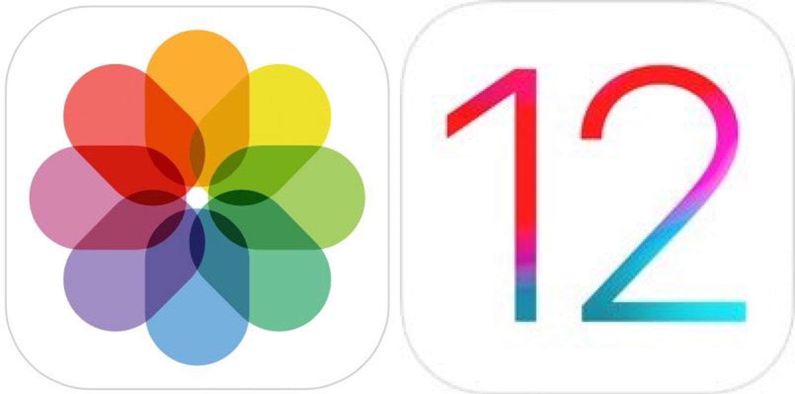 如何使用iOS 12中的新照片应用程序功能