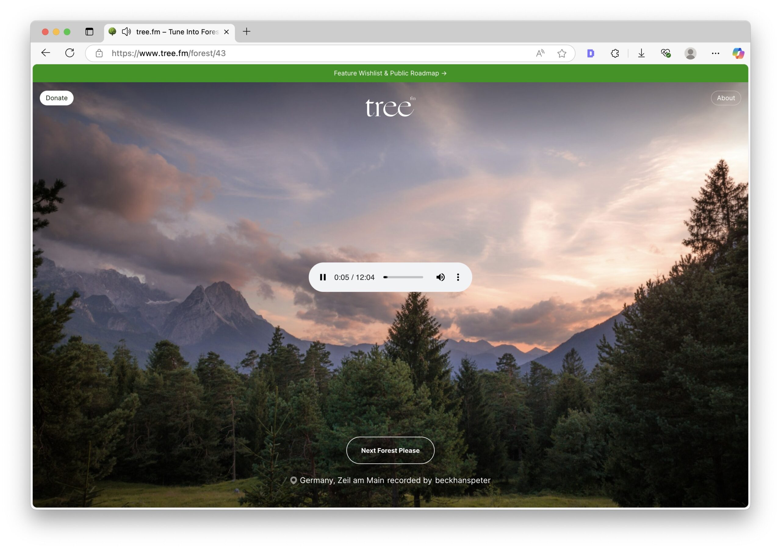 用tree.fm收聽世界各地森林的舒緩聲音