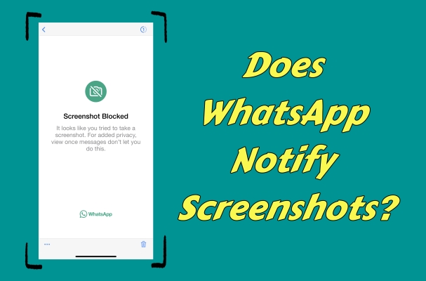 WhatsApp会通知屏幕截图吗？确定的指南！