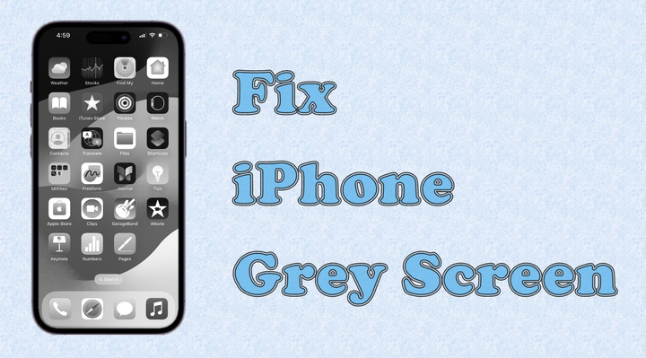 如何通过9种方式修复iPhone灰屏幕