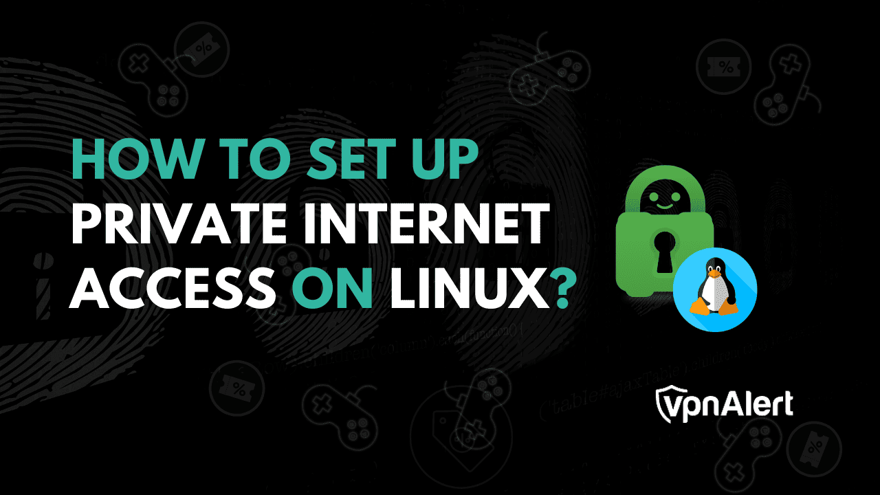 如何在Linux上设置私人互联网访问？