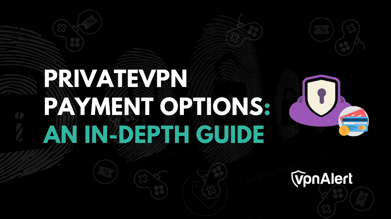 私有VPN付款选项：深入指南