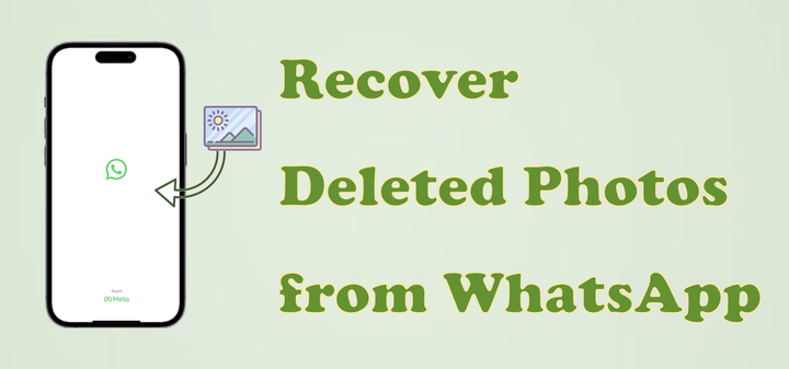 如何从WhatsApp恢复已删除的照片