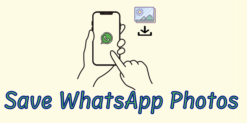 如何在所有设备上保存WhatsApp照片