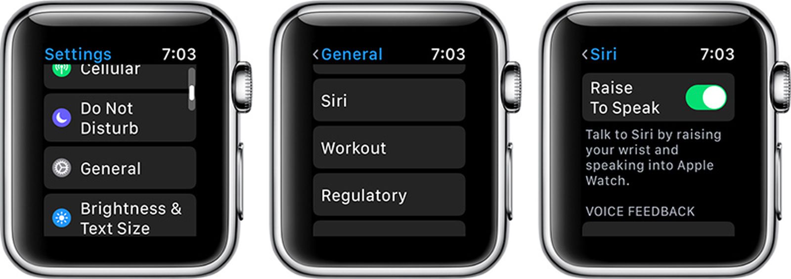 如何使用Siri加薪在Watchos 5中说话功能