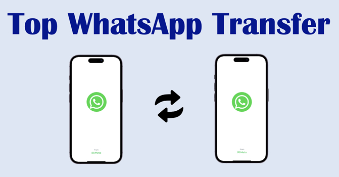 2025 年 10 大 WhatsApp 转账：实践和回顾