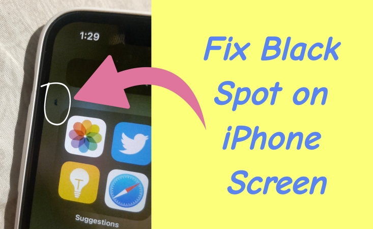 iPhone屏幕上的黑点:原因,修复和维修选项