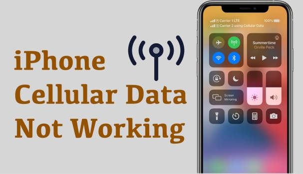 iPhone 蜂窝数据不起作用的快速修复