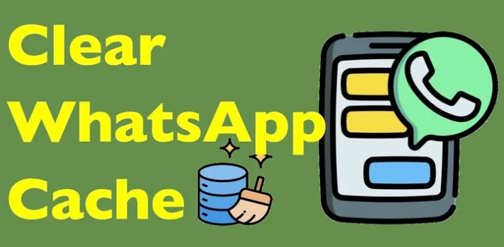 如何清除 iPhone 和 Android 上的 WhatsApp 缓存（分步指南）