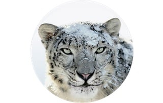 下载旧的 Mac OS X 版本（Snow Leopard、Lion 等）