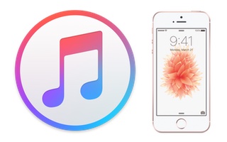 使用 iTunes 将音乐添加到您的 iPhone