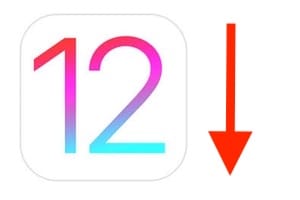 将 iOS 12 降级到 iOS 11：说明