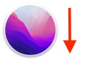 降级 macOS Monterey (12.0) 与 macOS Big Sur (11.0)