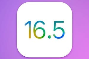 下载适用于 iPhone 的 iOS 16.5 / 适用于 iPad 的 iPadOS 16.5