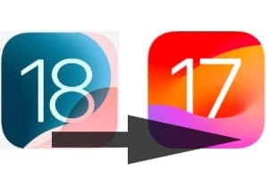 在 iPhone 上将 iOS 18 降级至 iOS 17：说明