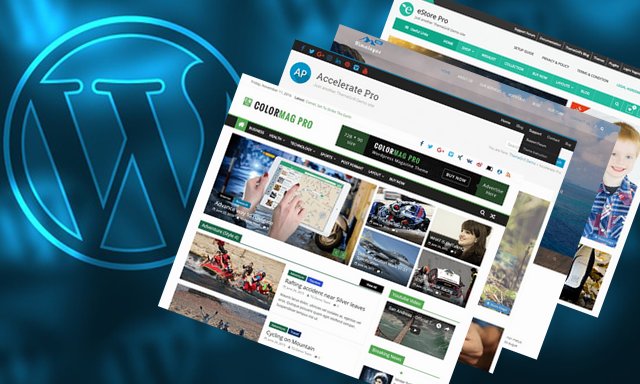 2017年的10个最佳WordPress主题