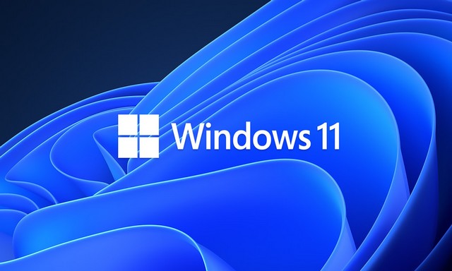 如何在Windows 11中启用内置管理员帐户