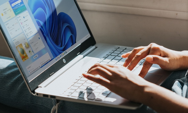 如何停用Windows 11上的触摸板
