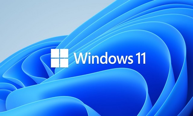 激活或停用与Windows 11的有限连接
