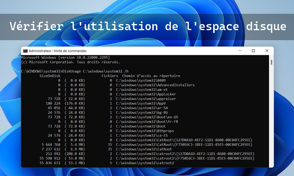 如何使用 DiskUsage 命令检查磁盘空间