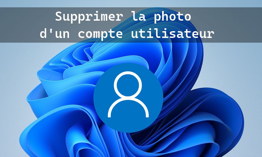 從Windows 11中的用戶帳戶刪除照片