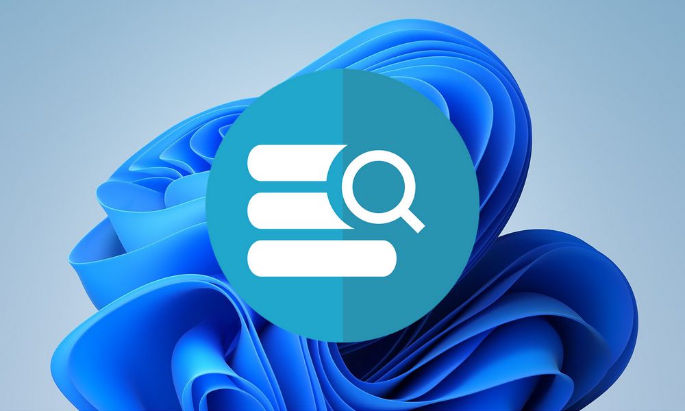 Windows 11：禁用搜索历史记录