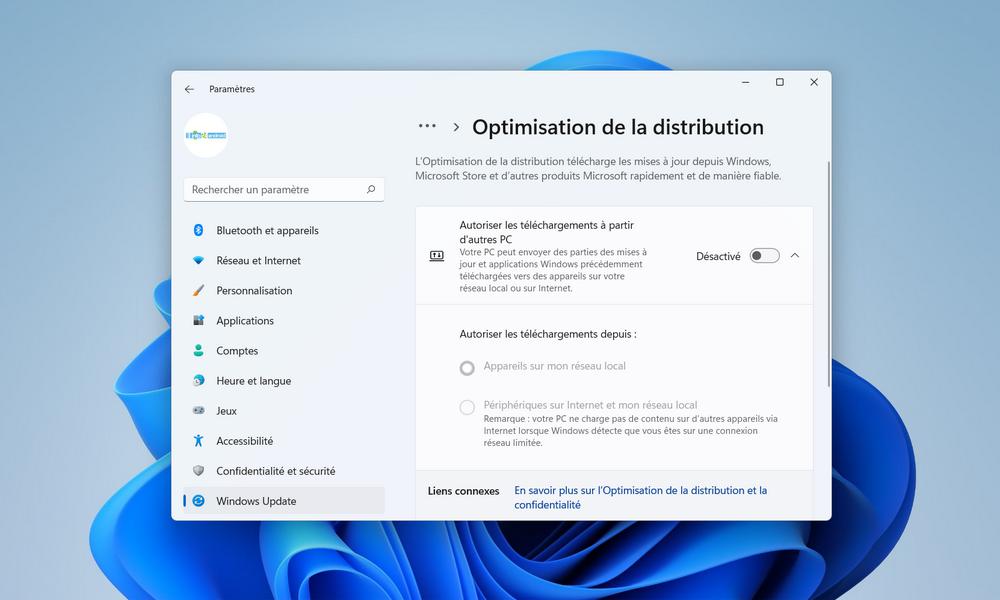 在Windows 11上禁用分发优化